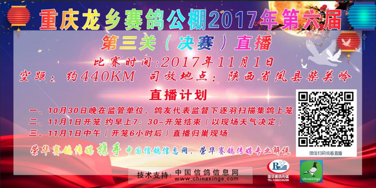 大方信鸽赛事直播2017，激情与技术的交汇盛宴