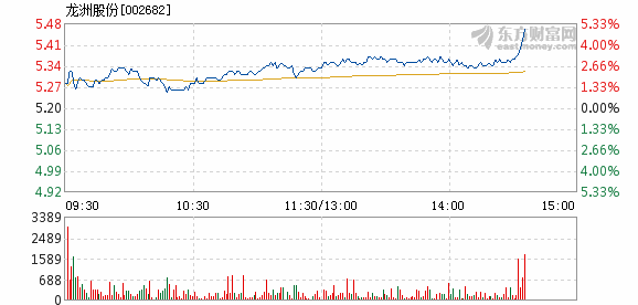 龙洲股份股票最新动态全面解读