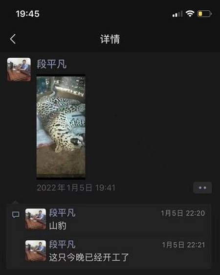 探究网络直播现象背后的真相，老虎直播真假之谜揭秘