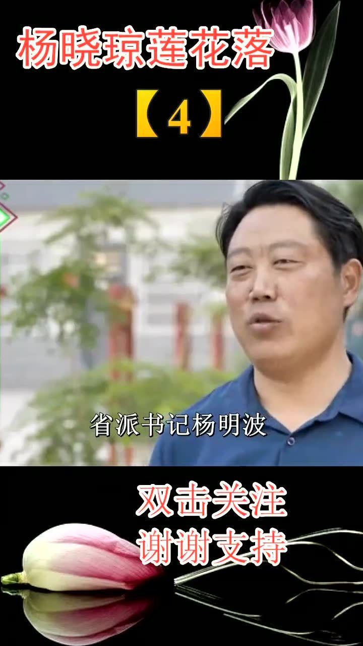 杨晓琼最新莲花落，艺术魅力与传承价值的绽放