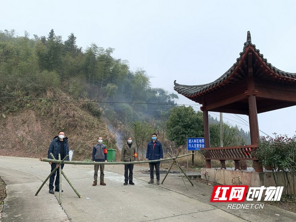 新邵县坪上镇最新项目，地区发展的强大引擎启动