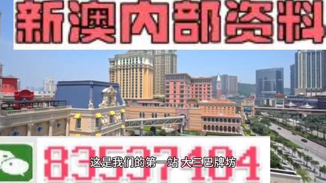 2024新澳精准正版资料,全部解答解释落实_黄金版48.508