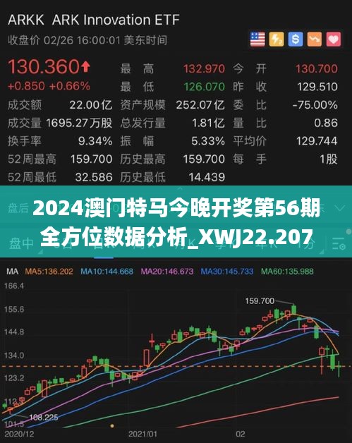 2024年今晚澳门开特马,数据驱动执行设计_进阶版34.435