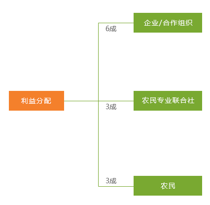 新澳精准资料免费提供网站,现状解答解释落实_DP45.226