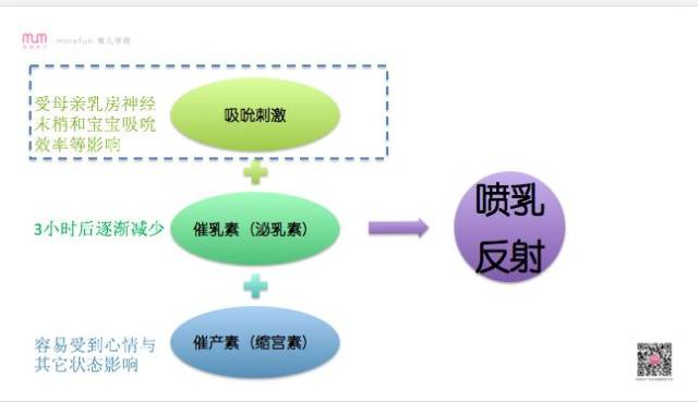 今晚澳门特马必开一肖,理论分析解析说明_1440p28.12