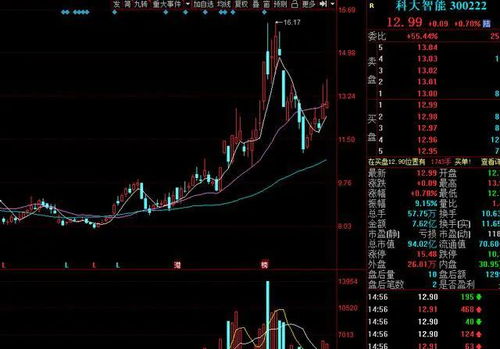 三肖三期必出特马,确保成语解释落实的问题_UHD版18.267